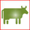 Vache
