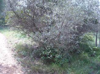 DSCN1697